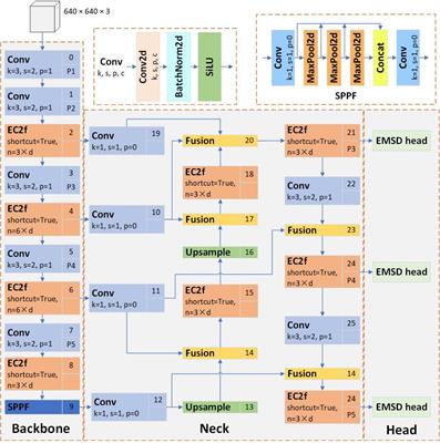 DeformableFishNet: a high-precision lightweight target detector for underwater fish identification